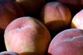 A group of ripe peaches in a bowl Royalty Free Stock Photo