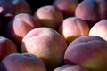 A group of ripe peaches in a bowl Royalty Free Stock Photo