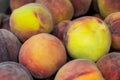 A group of ripe peaches in a bowl Royalty Free Stock Photo