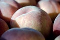 A group of ripe peaches in a bowl Royalty Free Stock Photo
