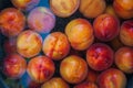 A group of ripe peaches in a bowl with water Royalty Free Stock Photo