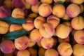 Group ripe peaches at a market Royalty Free Stock Photo