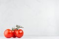 Group ripe red glossy tomatoes on green branch on white wooden background, copy space. Royalty Free Stock Photo