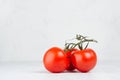 Group ripe red glossy tomatoes on green branch on white wooden background, copy space. Royalty Free Stock Photo