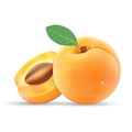 Group Of Ripe Sliced Apricot With Leaves Isolated On A White Background.