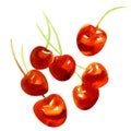 Group of ripe sweet red cherries, isolated, cherry fruits, watercolor illustration on white Royalty Free Stock Photo