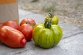 Group of ripened tomatoes in two boxes, red and green fruits after harvest, ready to eat, pepper and green zebra tomatoes