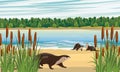 A group of river otters on the coast of a lake or river. Eurasian otter Lutra lutra, The Eurasian river otter.