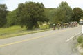 A group of road bicyclists