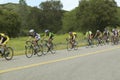 A group of road bicyclists