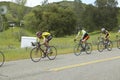 A group of road bicyclists