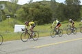 A group of road bicyclists traveling across highway 58 in CA