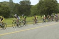 A group of road bicyclists traveling across highway 58 in CA Royalty Free Stock Photo