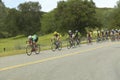 A group of road bicyclists traveling across highway 58 in CA