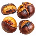 Group of Roasted Chestnuts with Brown Outer Shells on White Background Royalty Free Stock Photo