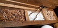 A group of rock sugar. Brown sugar cubes in wooden box . Various tea and various kind of sugar on wooden table Royalty Free Stock Photo