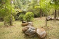 Group rocks ,alley and plants arranged in park background Royalty Free Stock Photo