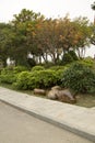 Group rocks ,alley and plants arranged in a park Royalty Free Stock Photo