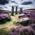 a group of rocks in a field of purple flowers