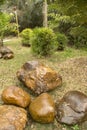 Group rocks and plants arranged in a park Royalty Free Stock Photo