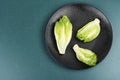 Group of Romaine lettuce hearts Royalty Free Stock Photo