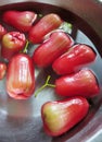 Group of rose apple washing in basin, Close up shot