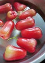 Group of rose apple washing in basin, Close up shot