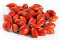 Group of rose hips isolated on a white background.