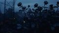 Dark Field With Roses: A Cinematic Rendering Of Atmospheric Blues