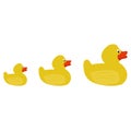 Group of rubber ducks