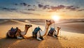Group of Saddled Camels Resting on the Sunny Sand of the Desert - Generative Ai Royalty Free Stock Photo