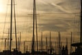 Group of sailboats docked in a harbor at sunset Royalty Free Stock Photo