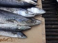 Group of Salted dried Indo - Pacific King Mackerel Fish on brown paper and bamboo panel at seafood market