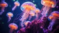 Group or school of glowing bioluminiscent jellyfish underwater