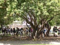 Group of school kids exploring the La Brea Tar Pits & Museum, Los Angeles, California, circa may 2017.