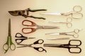 Group of scissors various sizes Many shapes are used. Organize the composition