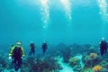 A group of scuba divers and a diver underwater view of the bottom with corals and marine plants.