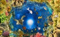 underwater paradise background coral reef wildlife nature collage with shark manta ray sea turtle colorful fish