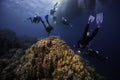 A group of scuba divers swimming over the coral reef