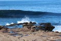 A group of sea lions, Otariinae, sunbathing on a rocky outcropping on the shore of the Pacific Ocean with a wave rolling in