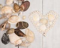 The group of sea shells and pearls laid out in the shape of heart on wooden background Royalty Free Stock Photo