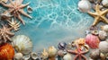 Group of sea shells and starfish arranged on a sandy beach during daylight Royalty Free Stock Photo