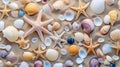 Group of sea shells and starfish on a beach Royalty Free Stock Photo