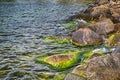 Group of Sea Stones Formation Covered with Green Algae and Photo