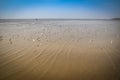 Group of seagulls floating on the sea with the sky as the background Royalty Free Stock Photo