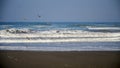 Group of Seagulls flying over the sea waves Royalty Free Stock Photo