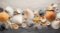 a group of seashells and starfish Royalty Free Stock Photo