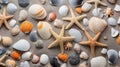 a group of seashells and starfish Royalty Free Stock Photo