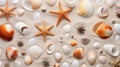 a group of seashells and starfish on sand Royalty Free Stock Photo