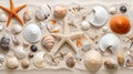 a group of seashells and starfish on sand Royalty Free Stock Photo